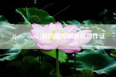宁波消防证国网查询操作证