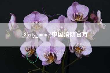 宁波中国消防官方