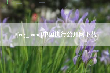 宁波中国执行公开网下载