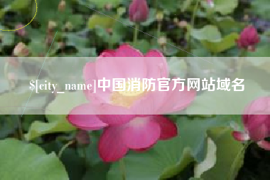 宁波中国消防官方网站域名