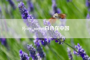 宁波白色在中国