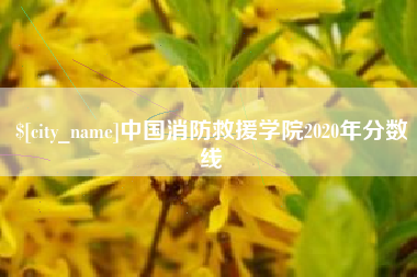 宁波中国消防救援学院2020年分数线