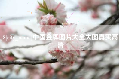宁波中国金牌图片大全大图真实高清