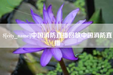 宁波中国消防直播回放中国消防直播
