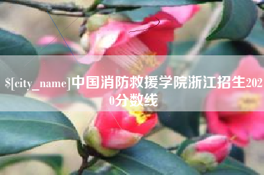 宁波中国消防救援学院浙江招生2020分数线