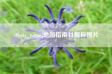 宁波地图指南针图标图片