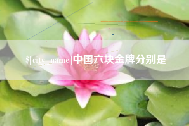 宁波中国六块金牌分别是