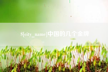 宁波中国的几个金牌
