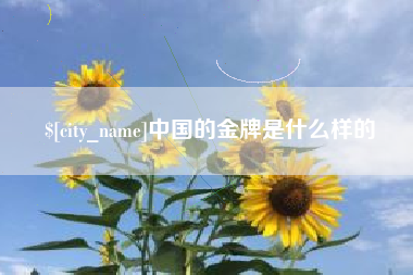 宁波中国的金牌是什么样的