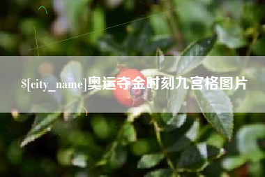 宁波奥运夺金时刻九宫格图片