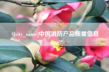 宁波中国消防产品质量信息