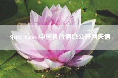 宁波中国执行信息公开网失信