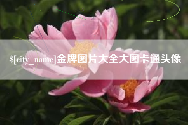 宁波金牌图片大全大图卡通头像