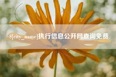 宁波执行信息公开网查询免费