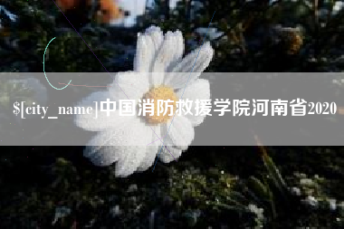 宁波中国消防救援学院河南省2020